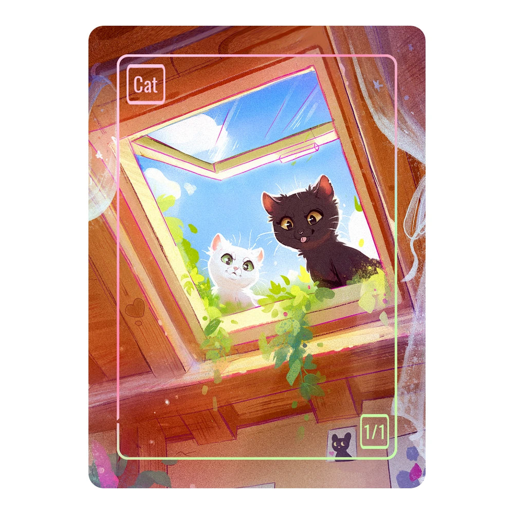Cat — None — Cat 1/1